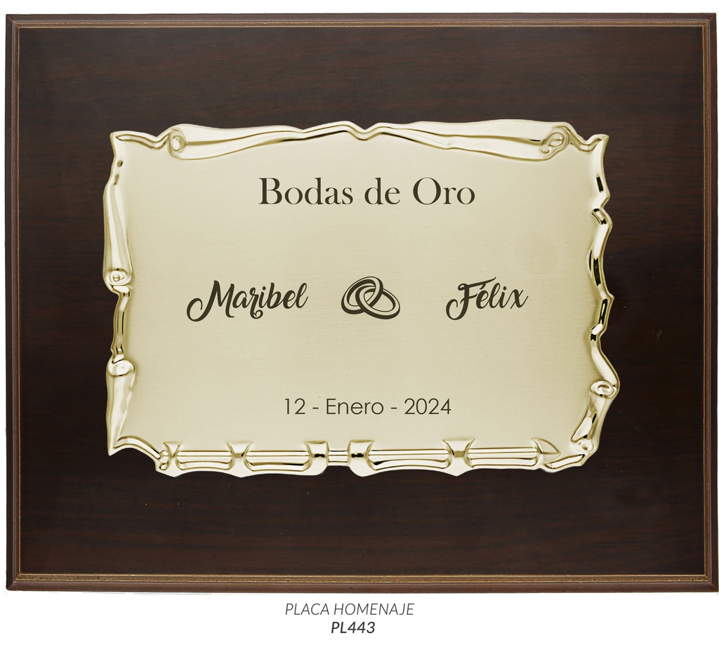__ext__/GRABACION PLACA HOMENAJE