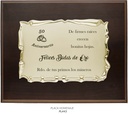 __ext__/GRABACION PLACA HOMENAJE