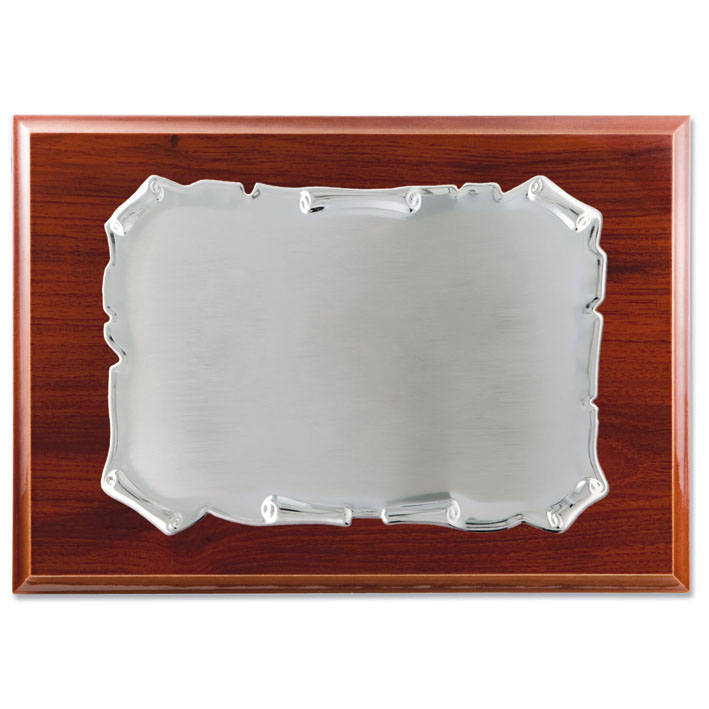 PLACA HOMENAJE METAL PLATEADO - 26X21CM 19X13CM** AGOTADA TEMPORALMENTE**