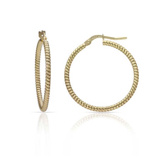 AROS PLATA CHAPADA ORO - 23MM