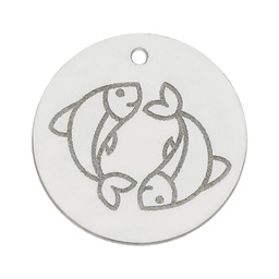 [AG3081] MI HISTORIA - ABALORIO HOROSCOPO PISCIS PLATA 925MM