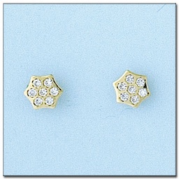 [P6011] PENDIENTES ORO 18KL CIRCONITAS