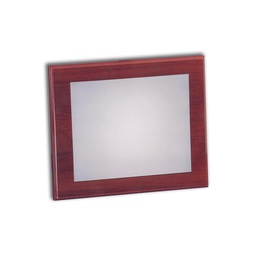 [PL456] PLACA HOMENAJE ALUMINIO 26x21 -  16,5X11,8