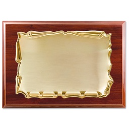 [PL443] PLACA HOMENAJE METAL PLATEADO - 26X21 19X13